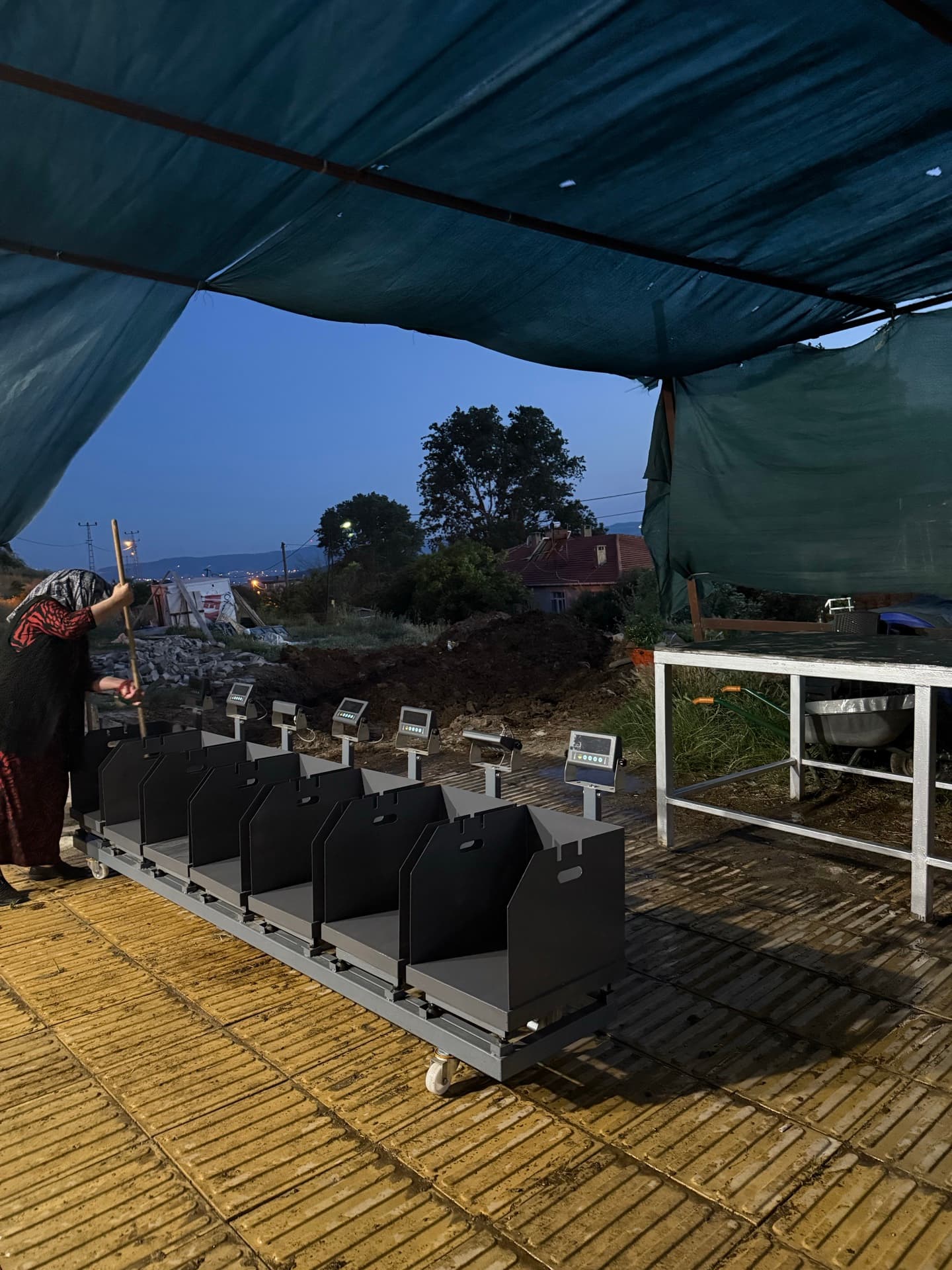 Sinan Karabulut Tarım Oklalı Çiftliği yem ve bakım anı